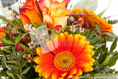 Image of Vivid orange gerbera daisy in a bouquet