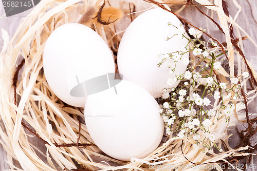 Image of Plain undecorated Easter eggs in a nest