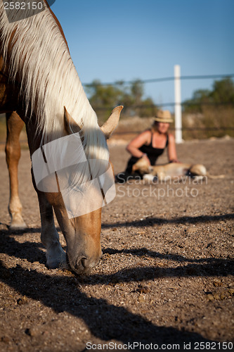 Image of young woman training horse outside in summer