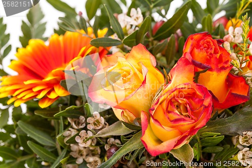 Image of Vivid orange gerbera daisy in a bouquet