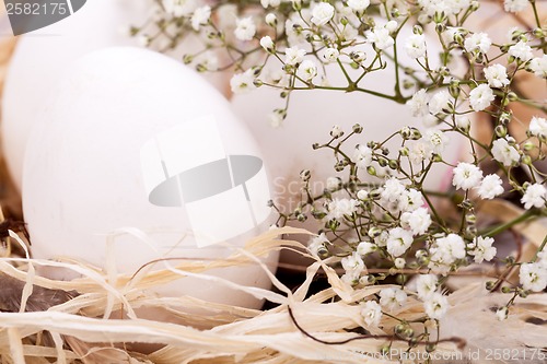 Image of Plain undecorated Easter eggs in a nest