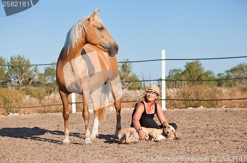 Image of young woman training horse outside in summer