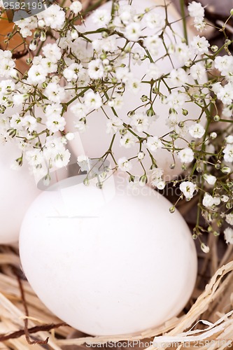 Image of Plain undecorated Easter eggs in a nest