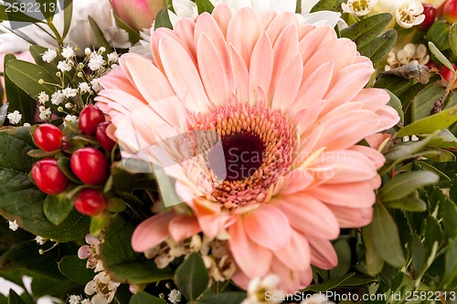 Image of Bouquet of fresh pink and white flowers