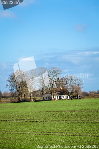 Image of beautiful landscape of green farmland and blue sky