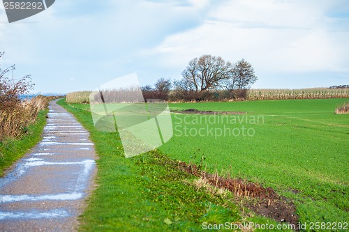 Image of beautiful landscape in autum baltic see green field blue sky