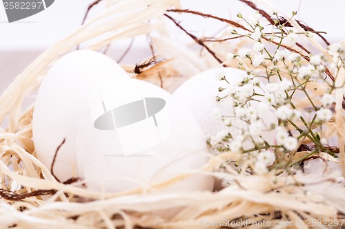 Image of Plain undecorated Easter eggs in a nest