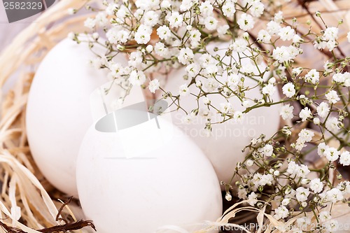 Image of Plain undecorated Easter eggs in a nest