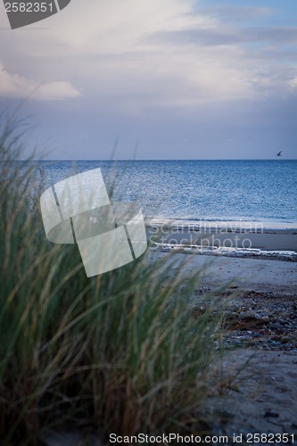 Image of beautiful landscape dunes baltic sea in autumn winter