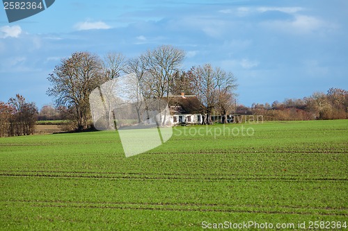 Image of beautiful landscape of green farmland and blue sky