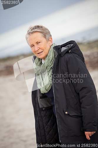 Image of happy grey-haired elderly woman senior outdoor