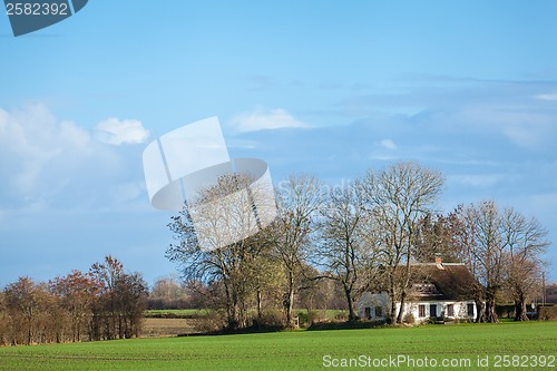 Image of beautiful landscape of green farmland and blue sky