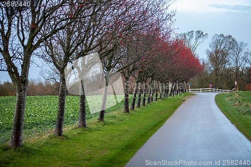 Image of landscape and street in autumn spring outdoor 