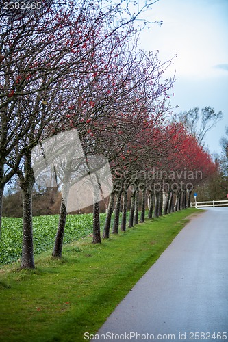 Image of landscape and street in autumn spring outdoor 