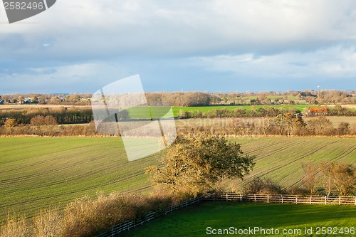 Image of beautiful landscape of green farmland and blue sky