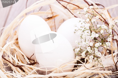 Image of Plain undecorated Easter eggs in a nest