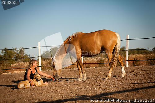 Image of young woman training horse outside in summer