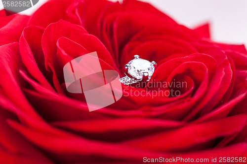 Image of Diamond engagement ring in the heart of a red rose