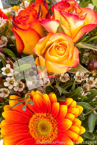 Image of Background of vivid orange roses