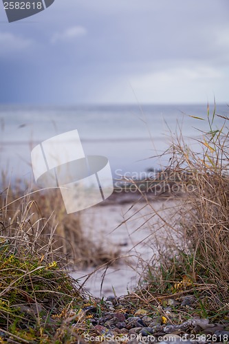 Image of beautiful landscape dunes baltic sea in autumn winter