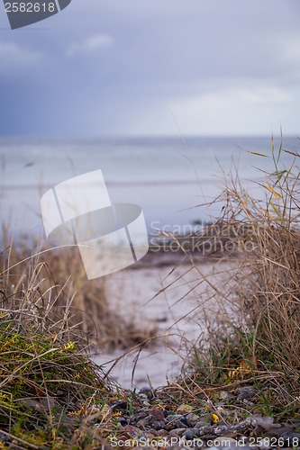 Image of beautiful landscape dunes baltic sea in autumn winter