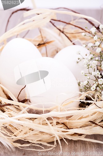 Image of Plain undecorated Easter eggs in a nest