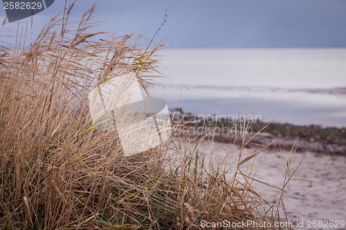 Image of beautiful landscape dunes baltic sea in autumn winter