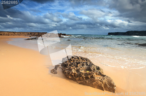 Image of North Avoca Beach