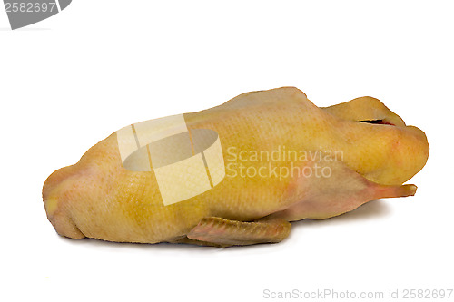 Image of The carcass of crude ducks on a white background.