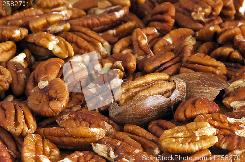 Image of Pecans