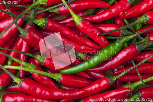 Image of Red and green chili peppers