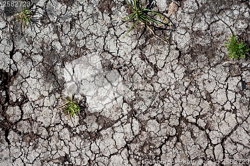 Image of Dry land