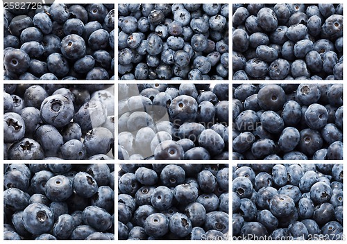 Image of Blueberries
