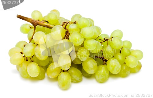 Image of Grapes