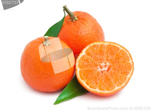 Image of Tangerines