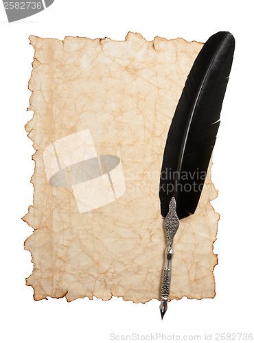 Image of Quill