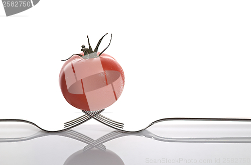 Image of Tomato