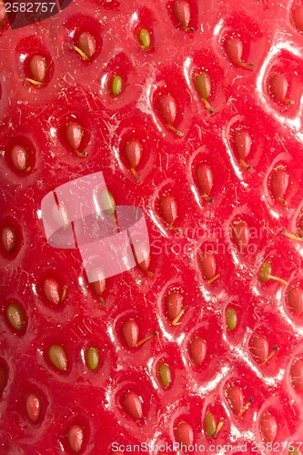 Image of Strawberry