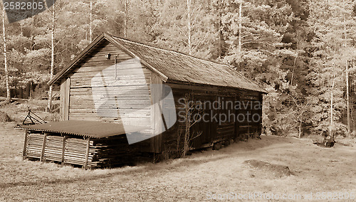 Image of Shack in the woods