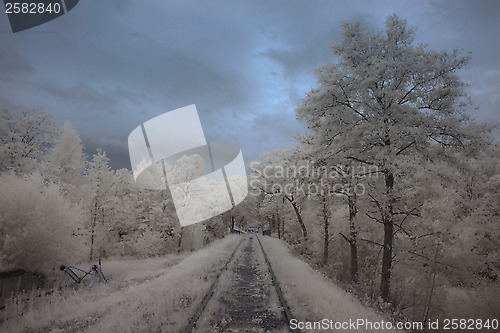 Image of Infrared landscape train tracks