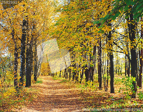 Image of Autumn landscape