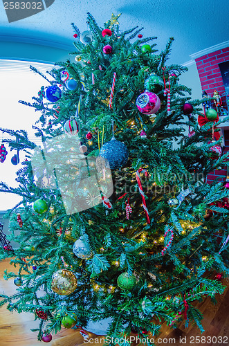 Image of Decorated Christmas tree in living room