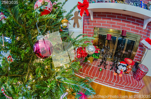 Image of Decorated Christmas tree in living room