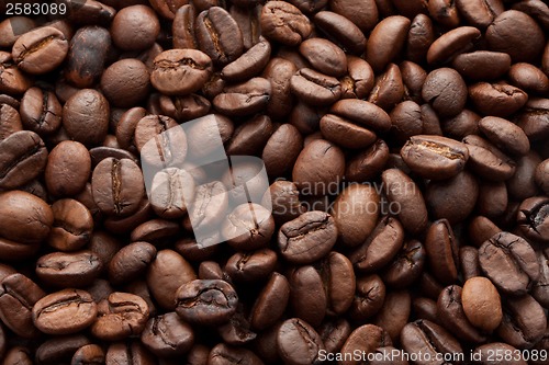 Image of Coffee beans