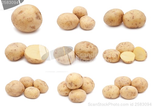 Image of Potatoes