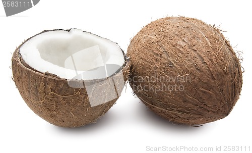 Image of Coconut