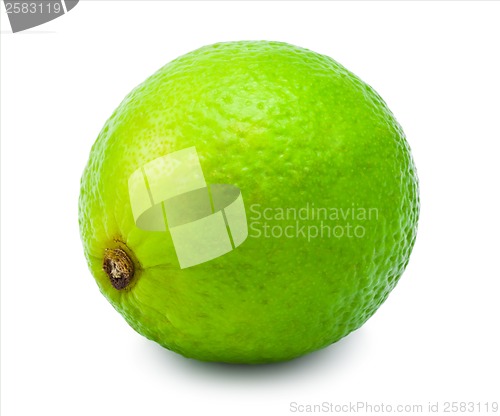 Image of Lime