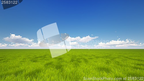 Image of Green Field