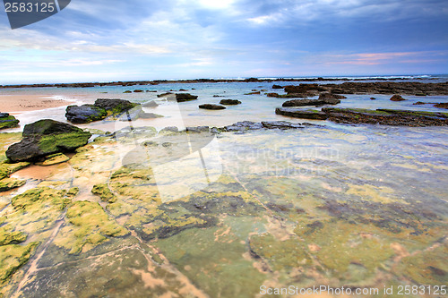 Image of Toowoon Bay Reefs