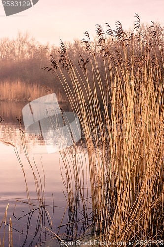 Image of Idyllic lake